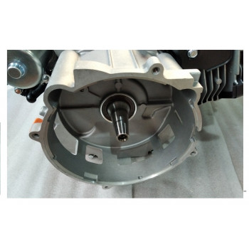 Двигатель бензиновый Lifan KP460E/Engine assy