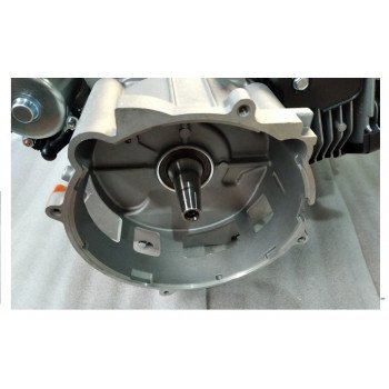 Двигатель бензиновый Lifan KP460E/Engine assy