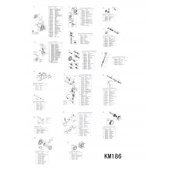 Двигатель дизельный KM186FA/E/Engine