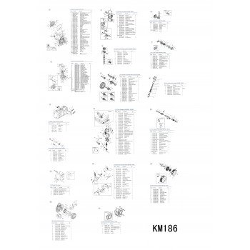 Двигатель дизельный KM186FA/E/Engine