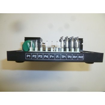 Регулятор напряжения AVR ENGGA (WT-2)