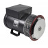 Генератор Mecc Alte ECP32-2M/4
