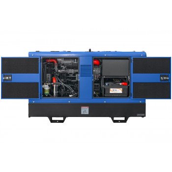 Двухпостовой дизельный сварочный генератор TSS DUAL DWG-500