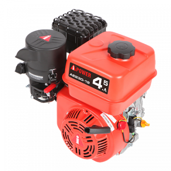 Бензиновый двигатель A-iPower AE230-19